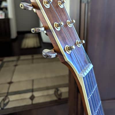 Yamaha LS16 ARE 2020s - Natural image 6