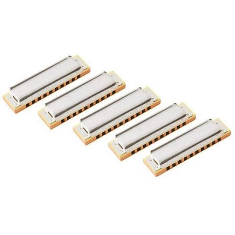 Immagine Hohner Marine Band 5 Piece Set With Carrying Case - 1