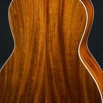 Bourgeois L-DBO Aged Tone Adirondack Spruce and Sinker Mahogany NEW image 19