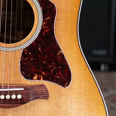 Taylor Trey Hensley Gold Label 510e Special Edition Dreadnought Acoustic / Electric Guitar -  Antique Blonde with Hardshell Case image 10