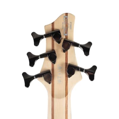 Ibanez BTB605TGF BTB Standard 5-String Electric Bass - Transparent Gray Flat image 8