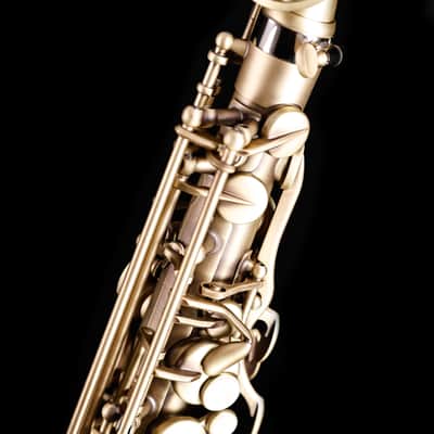 Selmer Paris 82SIGF Professional Alto Saxophone, Vintage Matte image 6