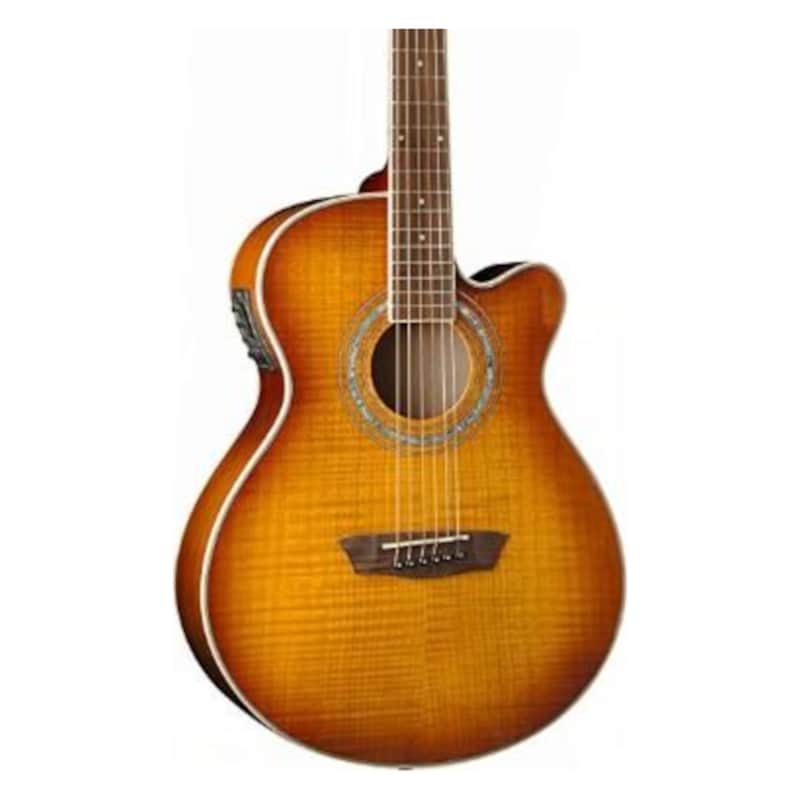 Washburn Festival EA15 image 2