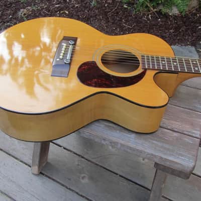 Harptone S-6NC Sultan guitar Sam Koontz vintage 1960s 1970s Vintage arched back cutaway image 10