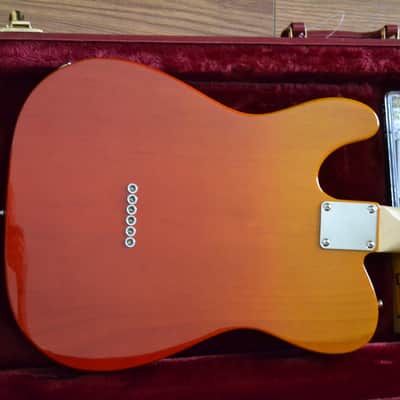 Custom Build Tele-Style SH - Phoenix Burst image 7