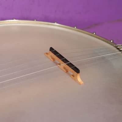 2010s Eastman Whyte Laydie-Style 5-String Openback Banjo (VIDEO! Fresh Work, Ready) image 6
