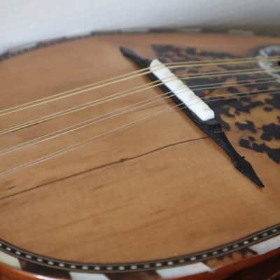 mandoline napolitaine a cotes creuses Giuseppe Serafino Garnotti image 12
