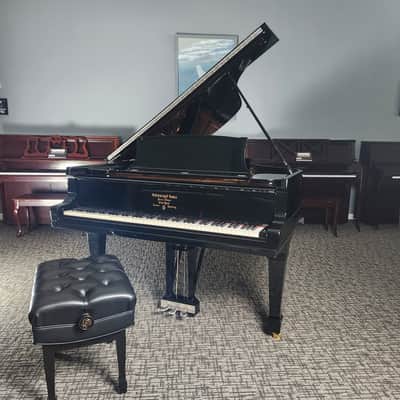1901 Steinway B Grand Piano Rebuilt by Steinway in 1998 * Free 1st floor Delivery in NJ!* image 8