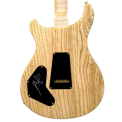 PRS Wood Library DGT Electric Guitar with Bird Inlays - Copperhead with Natural Back image 2