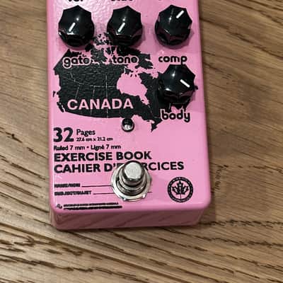 Winnipeg Electrical Co Homework Series Fuzz 2022 - Pink image 4
