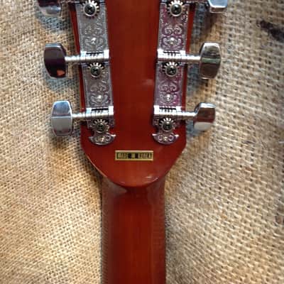 Lyon by Washburn LD-7M Dreadnought Acoustic Guitar image 5