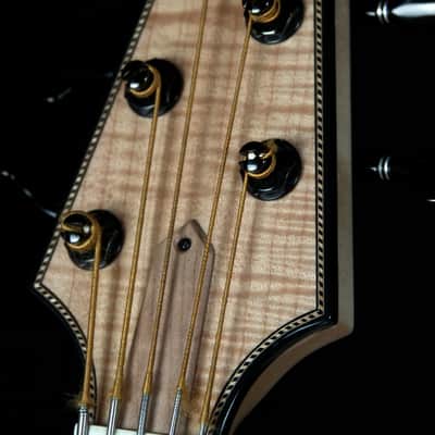 Renaissance Bass RB5 2015 image 10