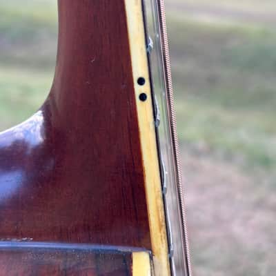 Jagard Acoustic Guitar MIJ JG 25 Early 70’s - Natural image 12