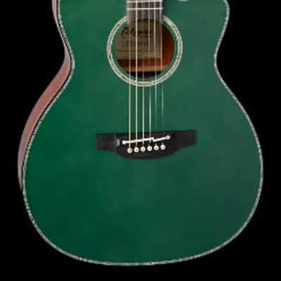 Takamine Limited Edition - Model LTD 2025 - Acoustic Guitar image 13