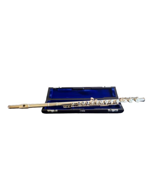 Muramatsu EX - Wind Instrument - Silver - Good w/ Hard Case & Soft Case image 1