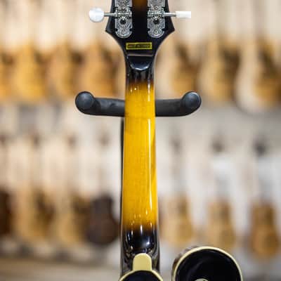 Goldtone GM-35 F-Style Mandolin w/case image 4
