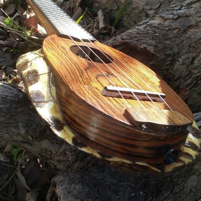 Turtle shell ukulele image 5