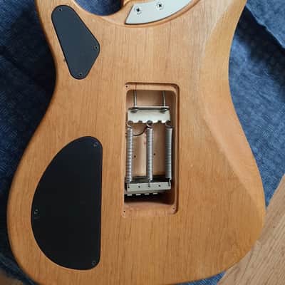 Washburn N4 1996 USA with Bill'n'Becky bridge pickup image 5