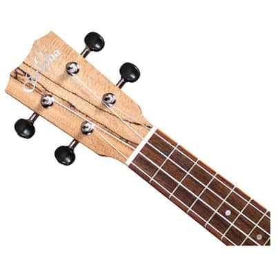 Cordoba 24S Spruce Soprano Ukulele w/ Spalted Maple Back image 4
