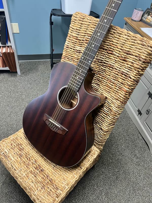 D'Angelico D'Angelico Premier Fulton LS 12-string Acoustic-electric Guitar - Mahogany Satin image 1