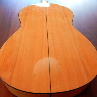Lucida Artista Picado LG-725 flamenco guitar image 9