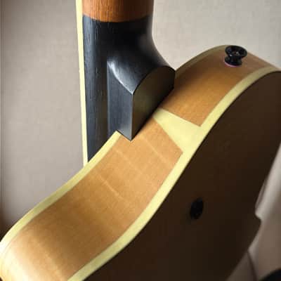 Island Instruments DelAir Headless Fan Fret Multi Scale Archtop Hollowbody image 11