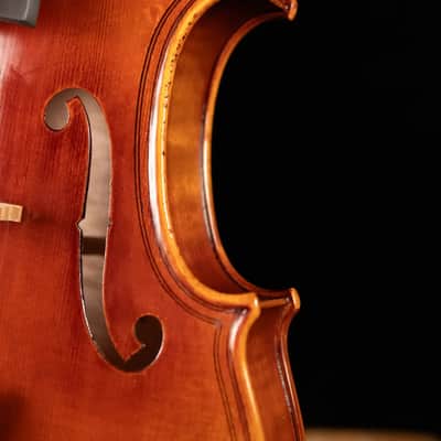 Scott Cao STV-750E Da Salo 1580 Gaspar 1-Piece Back Violin - 4/4 image 11