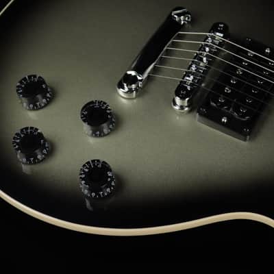 Gibson Adam Jones Les Paul Standard (#183) image 4