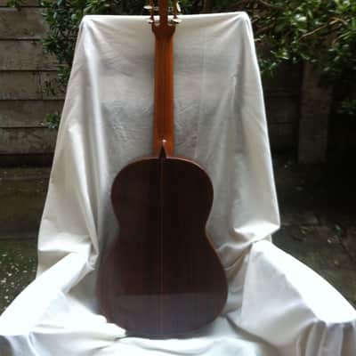 Michael Gee Classical image 7
