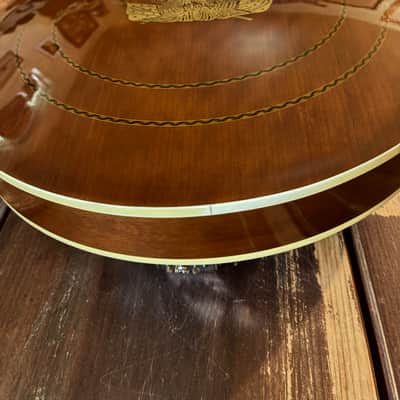 MINT Vintage Harmony H409 "Double Eagle" 5-String Banjo – Time Capsule Condition w/ Original Case image 8