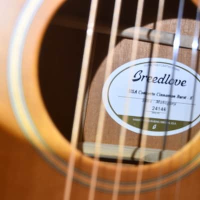 Breedlove USA Concerto Cinnamon Burst E image 12