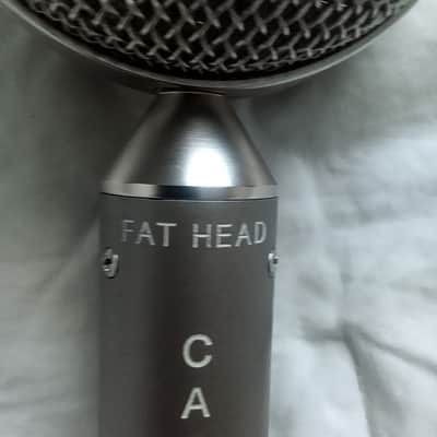 Cascade Fat Head Ribbon Microphone 2010s - Gray and Silver image 3