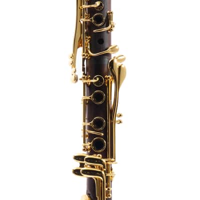 Backun Model BCLAQC-GKG Q-Series Professional A Clarinet SN Q21873 image 4