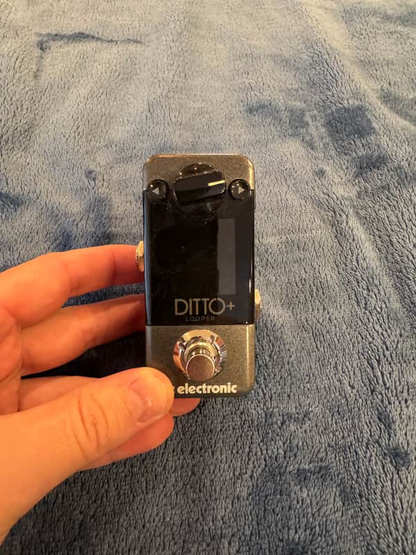 TC Electronic Ditto+ Looper 2020 - Present - Black image 1