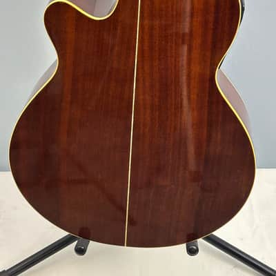 Jay Turser JTAC-50EQ Acoustic-Electric Cutaway Guitar w/ Brand New Great Divide Gig Bag image 15