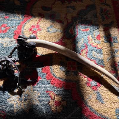 Mystical Animal Horn Frog Mouth Bells handmade percussion tambourine sleigh bells image 2