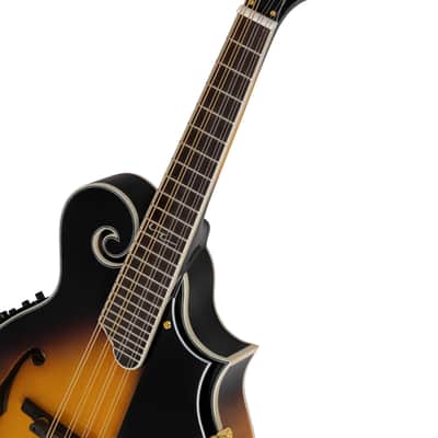 Ortega RMFE90TS F-Style Series Solid Spruce Top Maple Neck 8-String Acoustic-Electric Mandolin w/Deluxe Gig Bag image 8