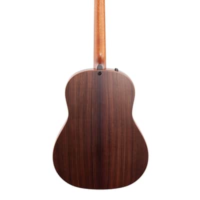 Taylor 717eV Builders Edition GP Natural image 5