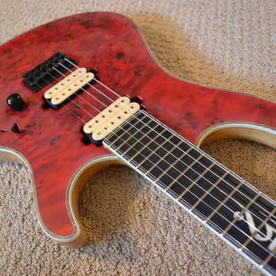 Mayones Regius 25th Anniversary image 6