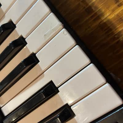 Yamaha PSR-50 1980’s image 7