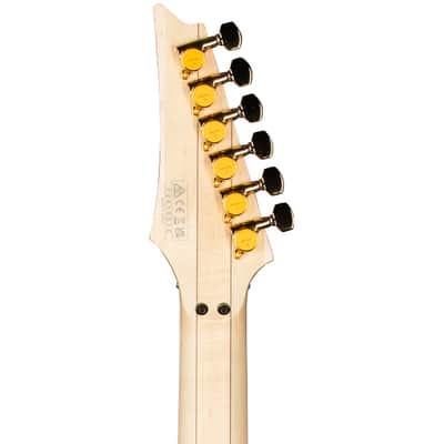 Ibanez PIA3761-SLW Steve Vai Signature 6-String Solid Body Electric Guitar with Rosewood Fretboard, Right-Handed, Stallion White image 4