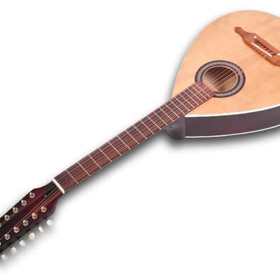 Trembita Kobza Acoustic Guitar 12 string Antique Lute Folk Vihuela Unique Design Travel mandolin image 1