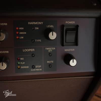 Boss Acoustic Singer Pro 120w 1x8" Stage Amp 2021 image 7