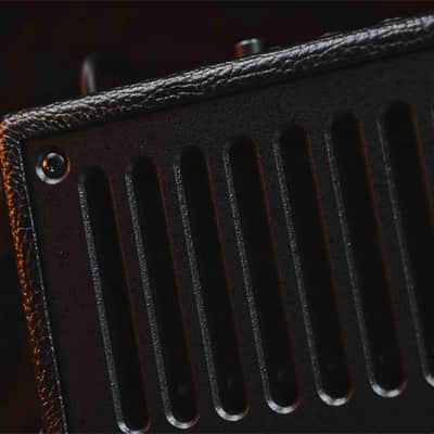 Phil Jones Bass Double 4 Plus (BG-80) Pro Mini Practice Bass Amp Black image 6