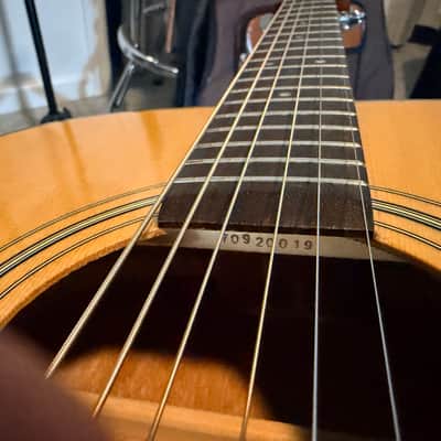 TAKAMINE EG-230 image 10
