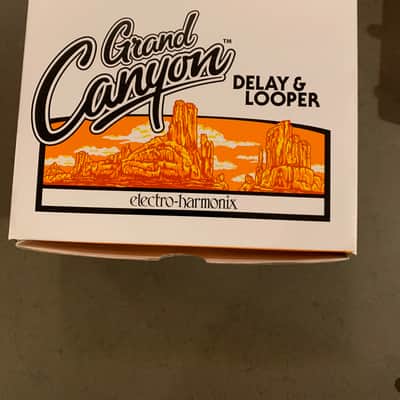 Electro-Harmonix Grand Canyon Delay and Looper 2018 - Present - White image 7