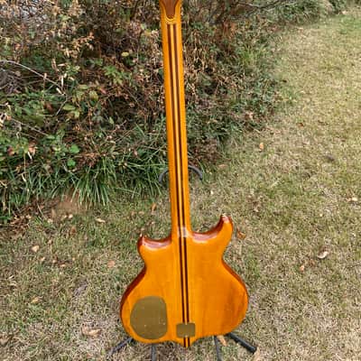 Alembic Series 1 1975 - Natural image 8
