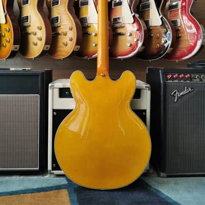 Epiphone Sheraton 2024 - Natural image 13