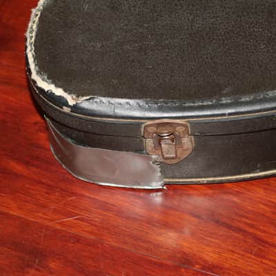 Gibson ES-330. ES-335, Casino Soft case 1966-1969 image 9
