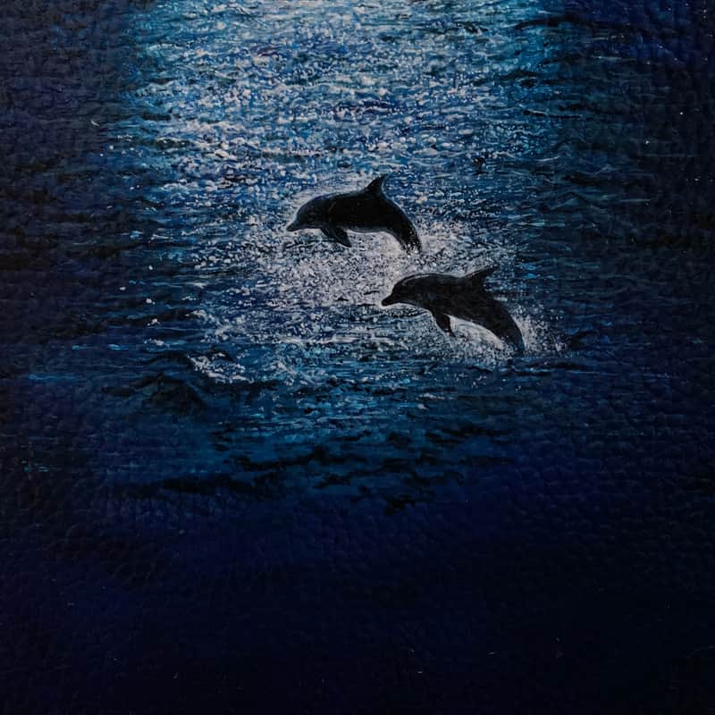 2000s Cort Acoustic/Resonator Black